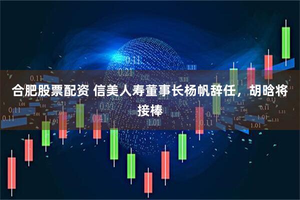 合肥股票配资 信美人寿董事长杨帆辞任，胡晗将接棒