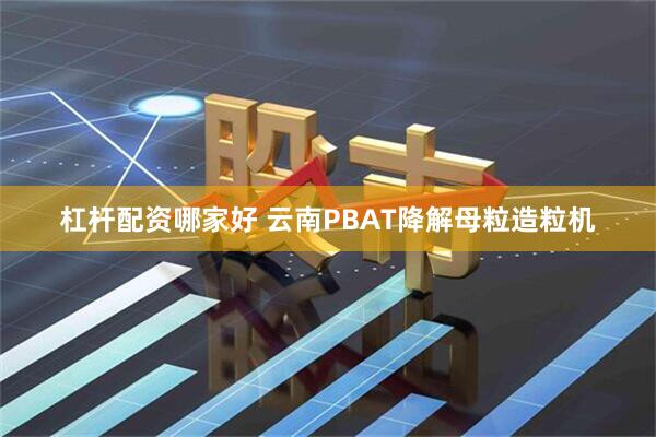 杠杆配资哪家好 云南PBAT降解母粒造粒机